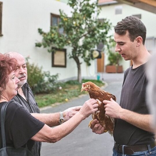 #4 Schau eina zur Hofführung: DA KOMMT DEIN ESSEN HER