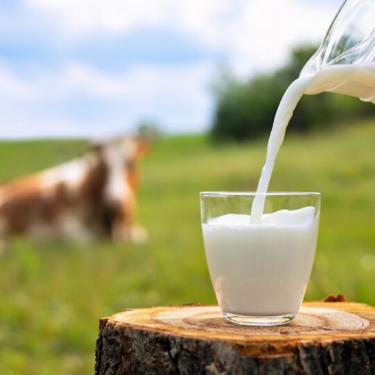 #41 Mantscha Müch – kennst as? Dann mogst as!