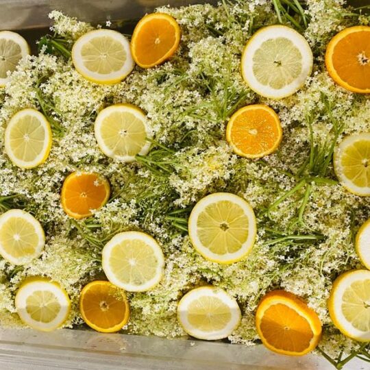 #49 Der HOLLER ist reif: So gelingt euch der beste Holundersirup!