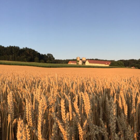 #57 NACHHALTIG – nur ein „Modewort“?
