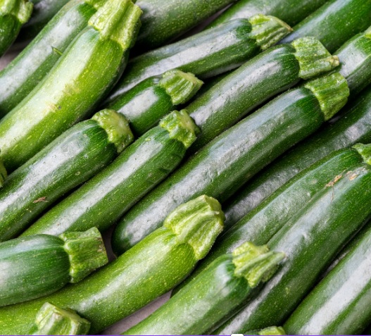 Zucchini